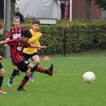 2025-09-27_zundert_jo11-2-_unitas_jo11-5_002.jpg