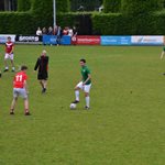 2025-05-28_boomkwekerij_roelands_dago_leeuw_plus_mertens_01.jpg