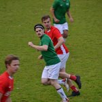 2025-05-28_boomkwekerij_roelands_dago_leeuw_plus_mertens_02.jpg