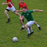 2025-05-28_boomkwekerij_roelands_dago_leeuw_plus_mertens_03.jpg