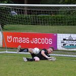 2025-05-28_boomkwekerij_roelands_dago_leeuw_plus_mertens_06.jpg