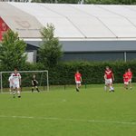 2025-05-28_boomkwekerij_roelands_van_hassel_verf_02.jpg