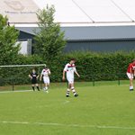 2025-05-28_boomkwekerij_roelands_van_hassel_verf_03.jpg