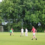2025-05-28_boomkwekerij_roelands_van_hassel_verf_04.jpg