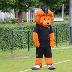 2025-05-28_buiten_bv_de_ossekop_02.jpg
