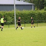 2025-05-28_buiten_bv_johan_hereijgers_bv_04.jpg