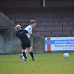 2025-05-28_ossekop_johan_hereijgers_09.jpg