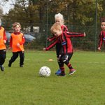 zundert_minis_tegen_sprundel_minis_2021_022.jpg