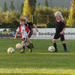 training_mini_pupillen_2021_023.jpg