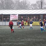 jo11_3_kampioen_najaar_2016_014.jpg