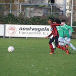 jo9-1_kampioen_najaarsreeks_2016_007.jpg