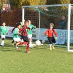 jo9-1_kampioen_najaarsreeks_2016_018.jpg