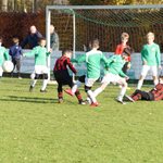 jo9-1_kampioen_najaarsreeks_2016_049.jpg