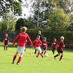 2026-10-10_o11-2_kampioen_najaarsreeks_002_(0).jpg