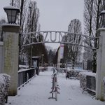 sportpark_in_de_sneeuw_2021_001.jpg