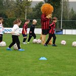 2025-09-26_training_mini_pupillen_019.jpg
