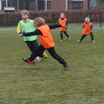 zaterdag_27_februari_2021_008.jpg