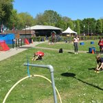 2026-04-29_wildert_games_006.jpg