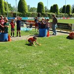 2026-04-29_wildert_games_010.jpg