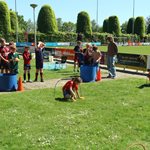 2026-04-29_wildert_games_011.jpg