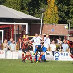 zundert_1_cluzona_1_2017_078.jpg