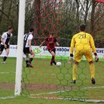 2026-03-29_zundert_1_-_steen_1_042.jpg