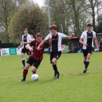 2026-03-29_zundert_1_-_steen_1_046.jpg
