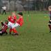 zundert_minis_wernhout_minis_2015_017.jpg