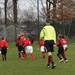 zundert_minis_wernhout_minis_2015_019.jpg