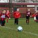 zundert_minis_wernhout_minis_2015_043.jpg