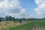 Heerlijk wandelen